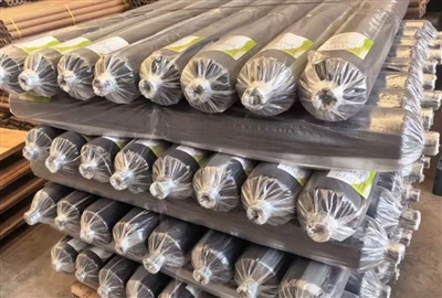 Film Mulch Biodegradable Pikeun Budidaya Cannabis: 700-Roll Ékspor Case Ka Kanada